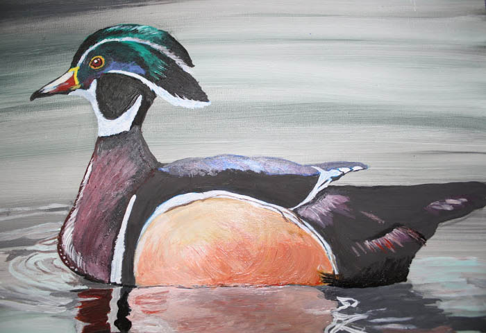 duck