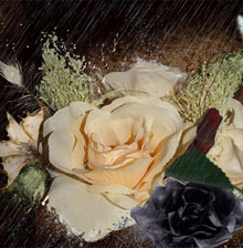 Photoshop