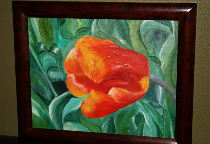 tulip